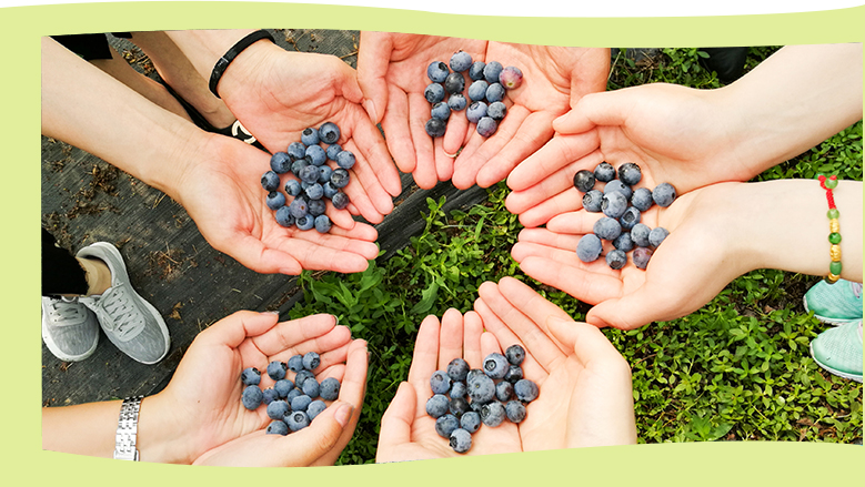 落實健全公司治理