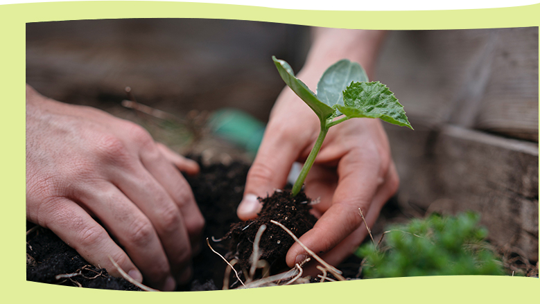 維護(hù)社會公益